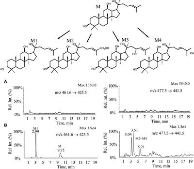 Systematic studies on the kinetic process of 20(S)-protopanaxadiol in rats and dogs: absorption, distribution, metabolism and excretion